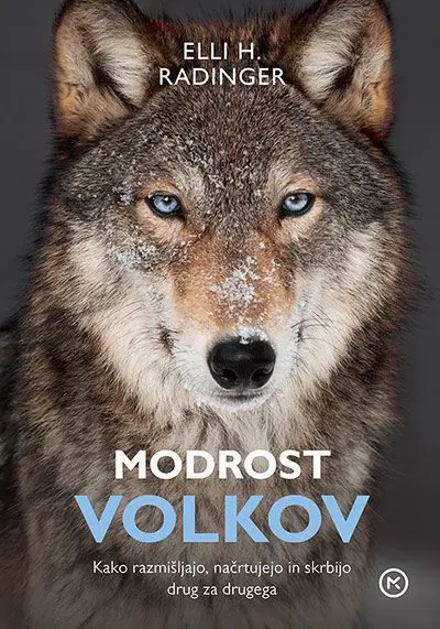 Modrost volkov