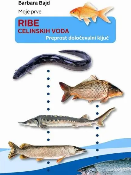 Moje prve ribe celinskih voda