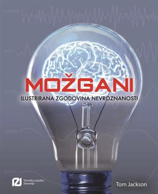Možgani - slika 10