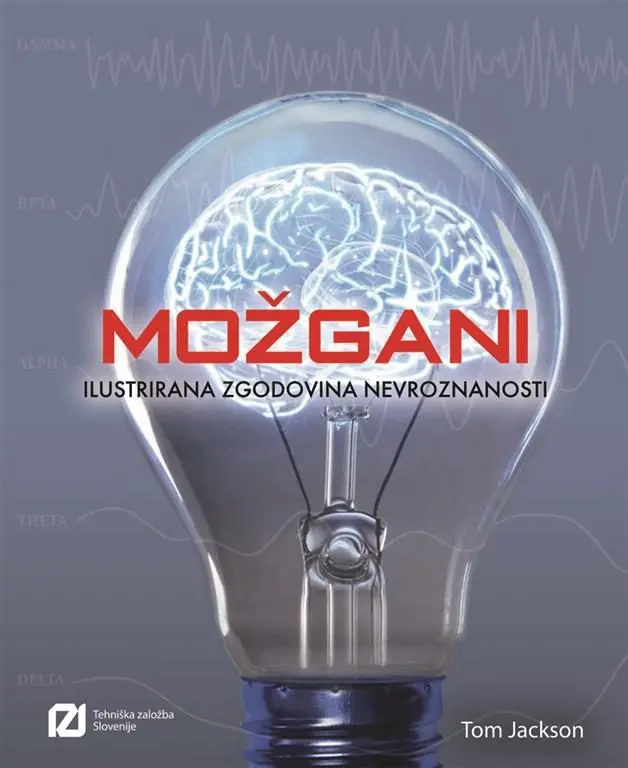 Možgani