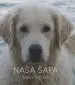 Naša Šapa - slika 2