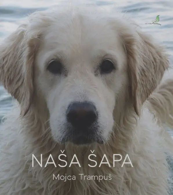 Naša Šapa