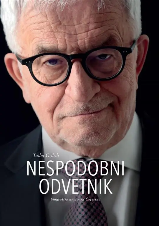 Nespodobni odvetnik - slika 2