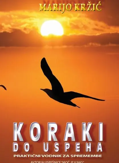 Koraki do uspeha - Praktični vodnik za spremembe