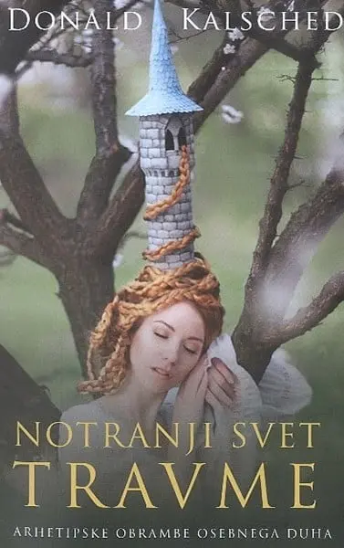 Notranji svet travme - slika 2