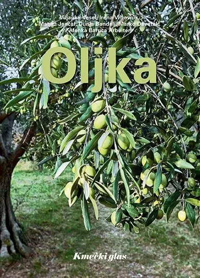 Oljka