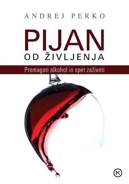 Pijan od življenja - Premagati alkohol in spet zaživeti