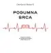 Pogumna srca - slika 2