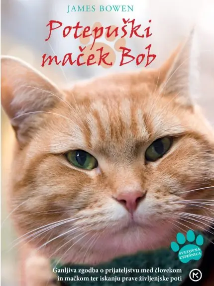 Potepuški maček Bob