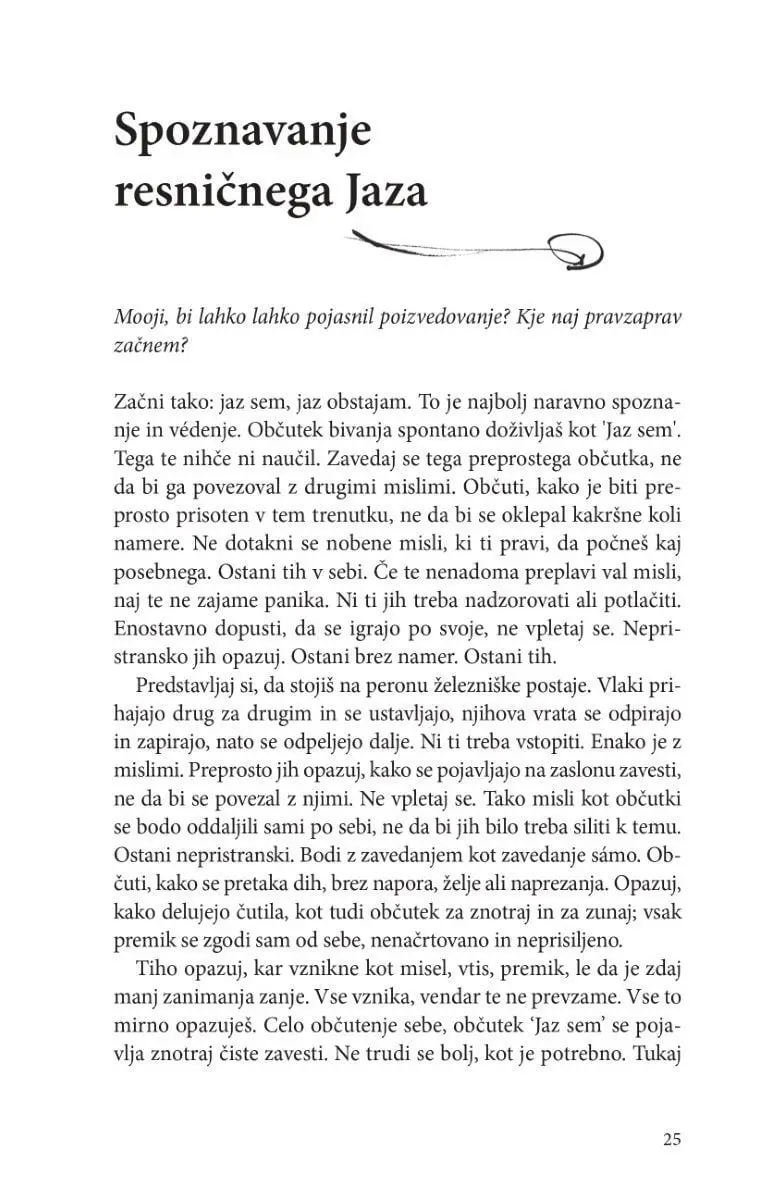 Preden sem - slika 8