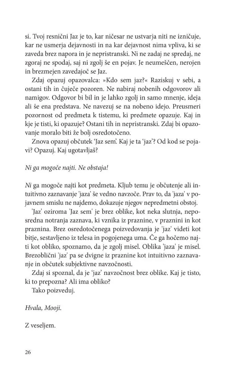 Preden sem - slika 9