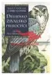 Druidsko živalsko preročišče (Komplet 33 svetih živalskih kart in knjižica) - slika 2