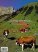 Mountain Interiors - slika 13