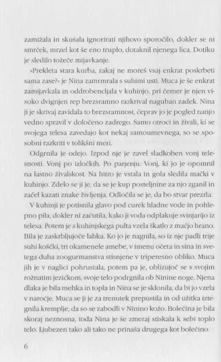Pred ograjo - Knjižna zbirka Piramida - slika 3