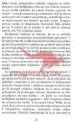 Ljubezen v času osamljenosti - slika 12