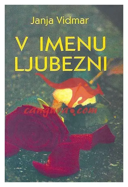 V imenu ljubezni - slika 2