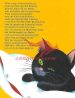 Kater Muri - slika 3