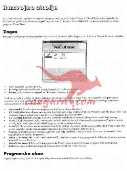 Spoznajmo Visual Basic - slika 8