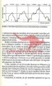 Moški orgazem brez meja - Žepna knjiga - slika 12
