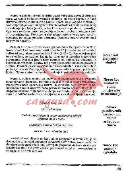 Priročnik za tarot - slika 13