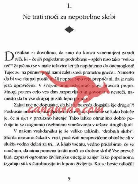 Ne trati moči za malenkosti - slika 8
