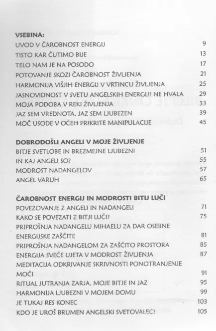 Bilo je onkraj stvarnega - Dobrodošli angeli v moje življenje! - slika 3