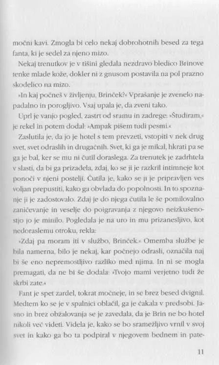 Pred ograjo - Knjižna zbirka Piramida - slika 8