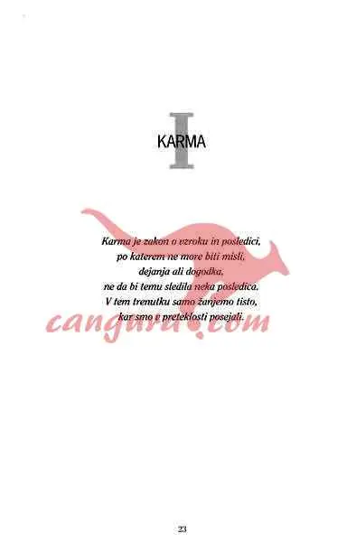 Samozdravljenje s karmično diagnostiko - slika 6