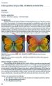 Natura 2000 v Sloveniji - Metulji (Lepidoptera) - slika 11