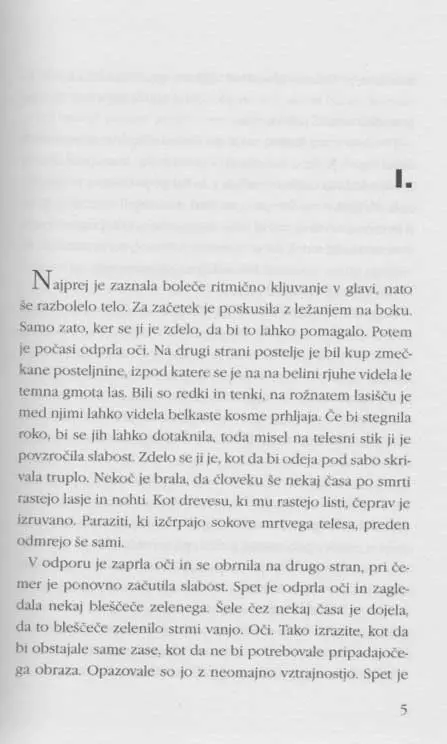 Pred ograjo - Knjižna zbirka Piramida - slika 2