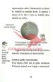 Vesolje - Zbirka Vodiči - slika 5