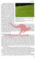 Natura 2000 v Sloveniji - Metulji (Lepidoptera) - slika 12