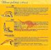 Joga za vsak dan - CD - slika 3