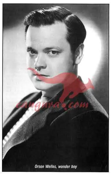 Državljan Kane - slika 9