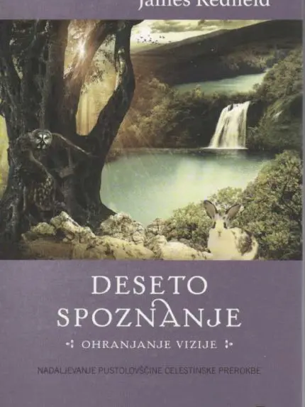 Deseto spoznanje - Ohranjanje vizije