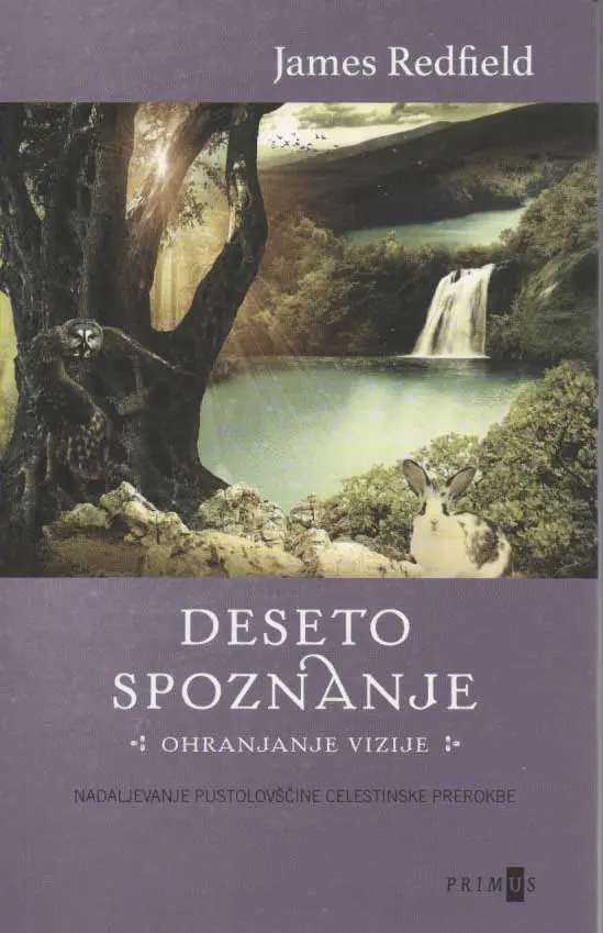Deseto spoznanje - Ohranjanje vizije