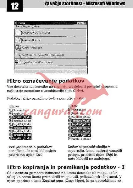 Za večjo storilnost - Microsoft Windows - slika 10