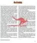 Čarobni svet buč - Druga dopolnjena izdaja - slika 3