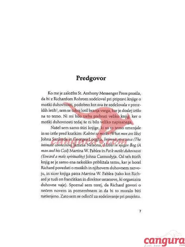 Moški na duhovni poti - slika 2