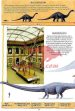 Rastlinojedci - Dinozavri - slika 9