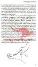 _Zdravje iz stopal - Priročnik za refleksoterapijo - slika 13