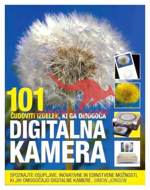 101 čudoviti izdelek, ki ga omogoča digitalna kamera - slika 2