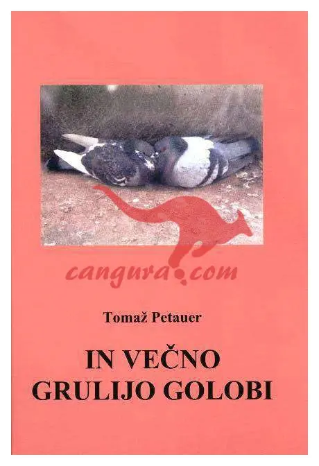 In večno grulijo golobi - slika 3