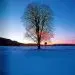 A memory of Slovenia - slika 12