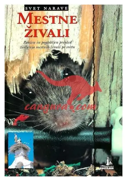 Mestne živali - Zbirka Svet narave - slika 2