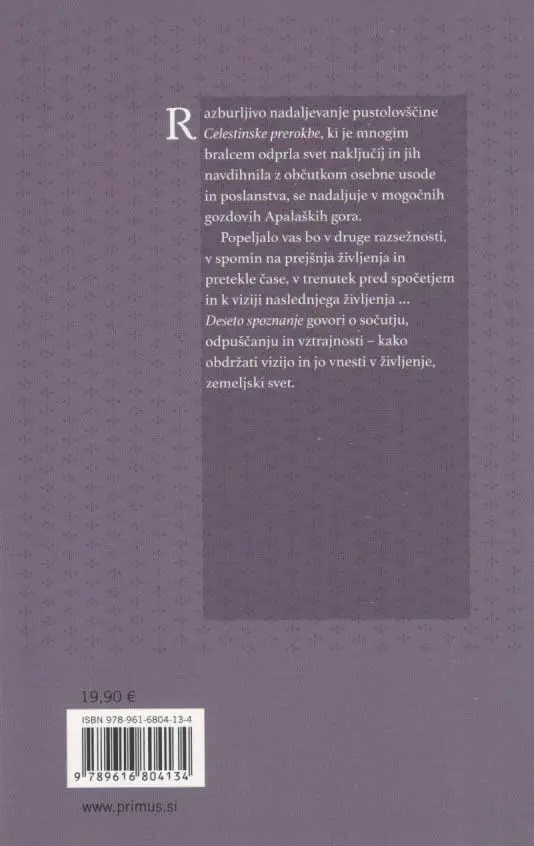 Deseto spoznanje - Ohranjanje vizije - slika 2