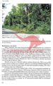 Natura 2000 v Sloveniji - Metulji (Lepidoptera) - slika 8