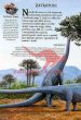Rastlinojedci - Dinozavri - slika 7