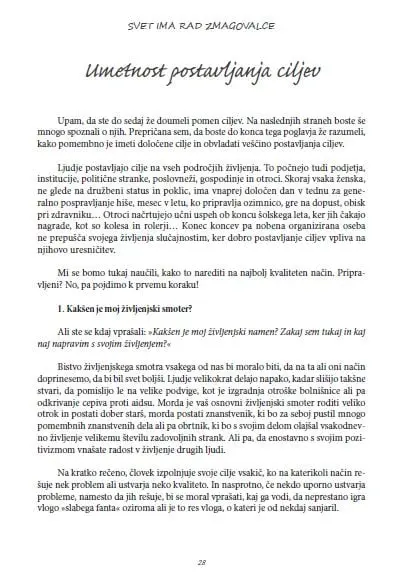 .Svet ima rad zmagovalce in nima časa za poražence (Zbirka Neskončnost) - slika 14