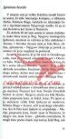 Jaz jaz jaz - Pajek v mreži - Zakon ustreznosti in zakon projekcije - slika 10